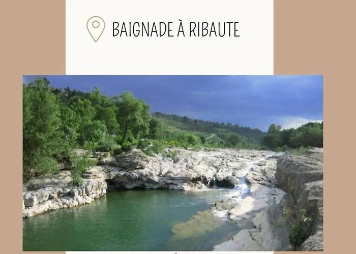 Apartamento Albizia